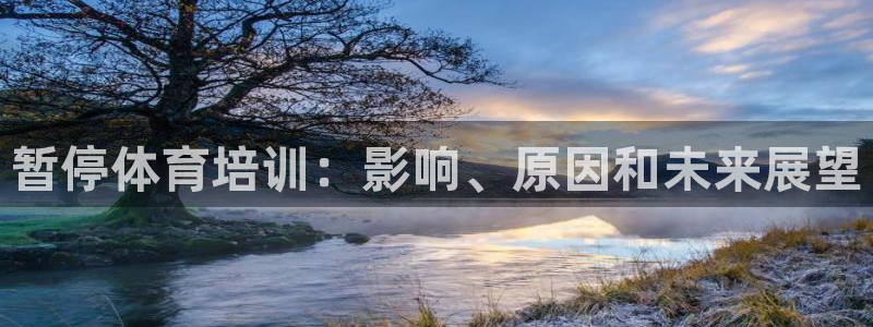 尊龙旗舰厅app：暂停体育培训：影响、原因和未来展望