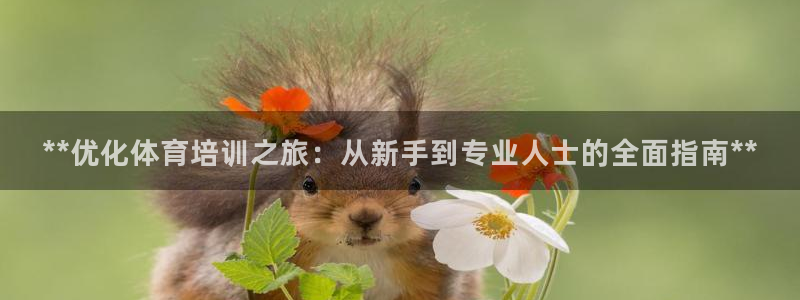 凯时app官方首页：**优化体育培训之旅：从新手到专