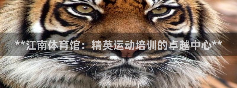 尊龙凯时赢不了：**江南体育馆：精英运动培训的卓越中