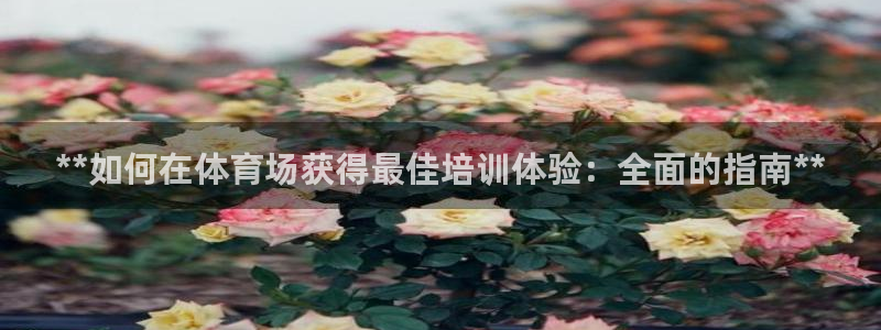 尊龙凯时的钱能退回来吗：**如何在体育场获得最佳培训