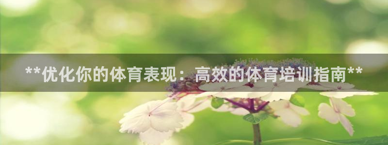 尊龙 am i blue：**优化你的体育表现：高效