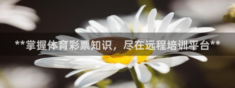 尊龙凯时人生就是博·(中国)官网首页：**掌握体育彩