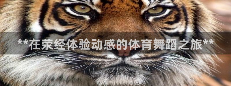 尊龙凯时网娱乐最新版：**在荥经体验动感的体育舞蹈之