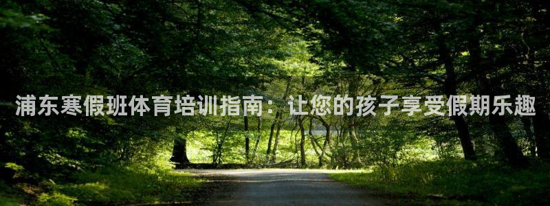 尊龙官网注册：浦东寒假班体育培训指南：让您的孩子享受