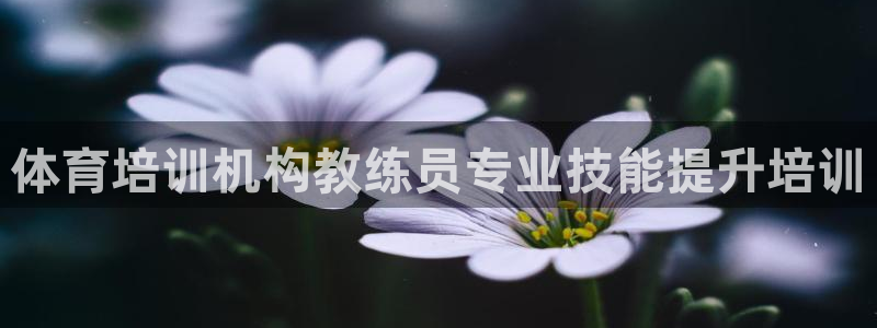 尊龙凯时官方网站下载：体育培训机构教练员专业技能提升