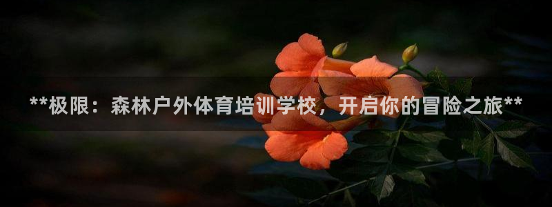 AG尊龙注册在线游戏：**极限：森林户外体育培训学校，开启你