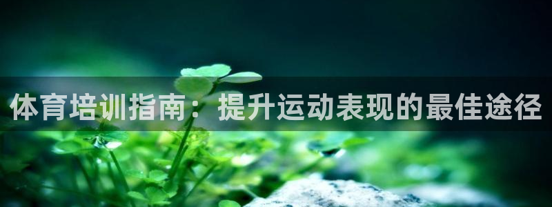 尊龙新版App下载：体育培训指南：提升运动表现的最佳