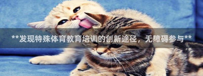 凯时平台怎么样：**发现特殊体育教育培训的创新途径，