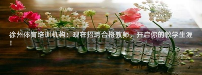 尊龙凯时取款24小时不到账：徐州体育培训机构：现在招