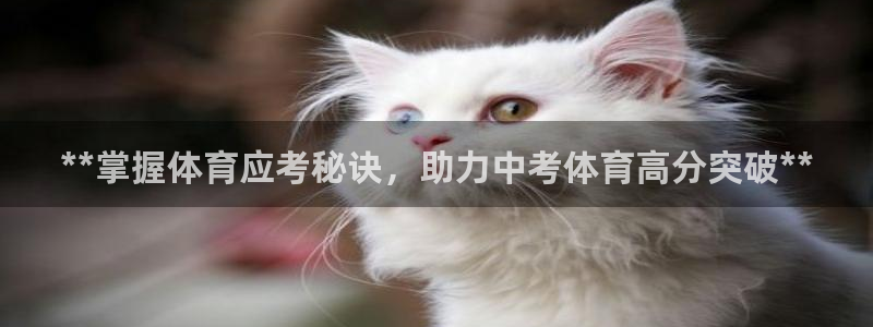 尊龙d88官网确来就送38：**掌握体育应考秘诀，助力中考体