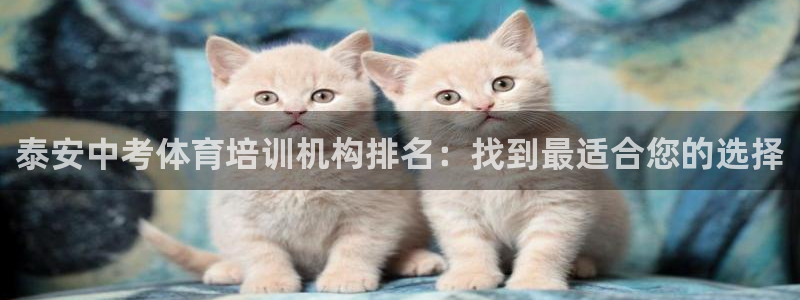 尊龙凯时ag旗舰厅官：泰安中考体育培训机构排名：找到