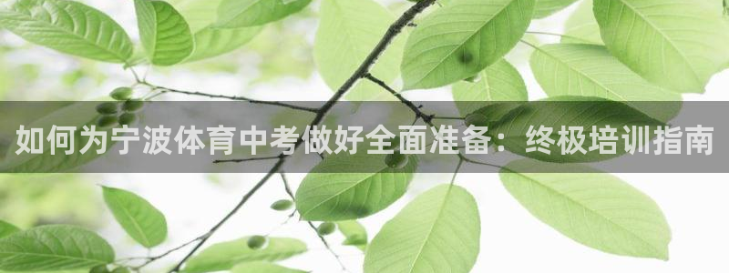 尊龙凯时网站赌愽做假吗：如何为宁波体育中考做好全面准备：终极