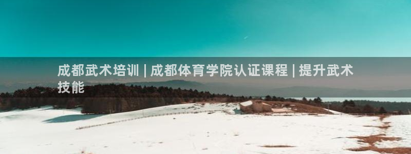 agz6尊龙凯时集团：成都武术培训 | 成都体育学院认证课程