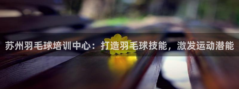 凯时最新官方APP下载：苏州羽毛球培训中心：打造羽毛球技能，
