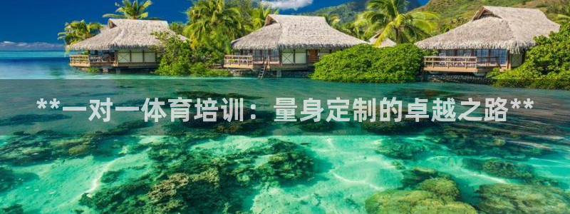 尊龙z6官网：**一对一体育培训：量身定制的卓越之路