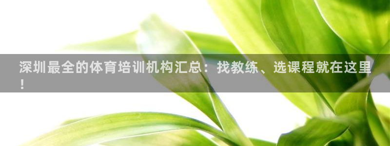 凯时效果怎么样：深圳最全的体育培训机构汇总：找教练、