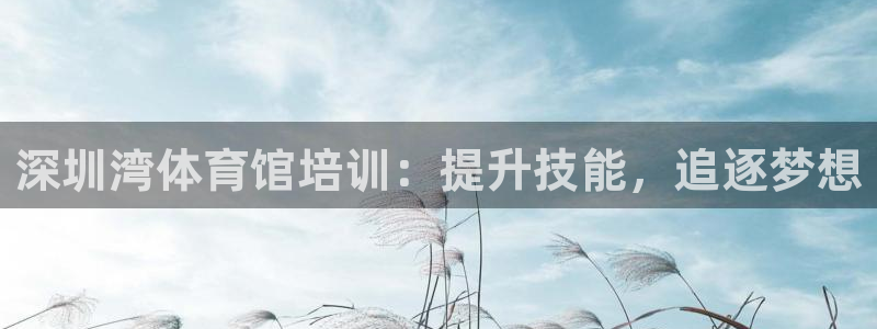 尊龙官方网站最新版V9.3.06介绍：深圳湾体育馆培训：提升