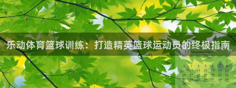 尊龙app认可ag发财网：乐动体育篮球训练：打造精英