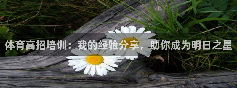 尊龙人生就是博：体育高招培训：我的经验分享，助你成为