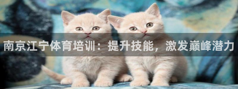 尊龙人生就是搏：南京江宁体育培训：提升技能，激发巅峰