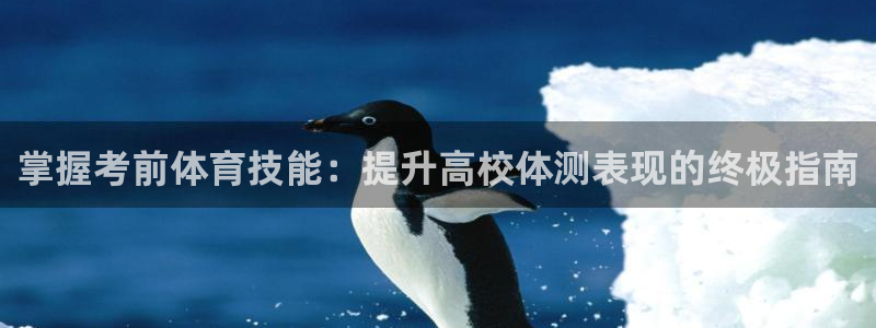 尊龙凯时 - 人生就是搏有假吗