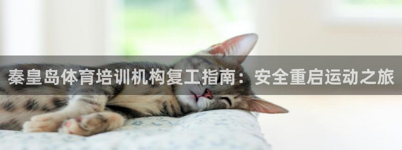 尊龙凯时几百万怎么下：秦皇岛体育培训机构复工指南：安