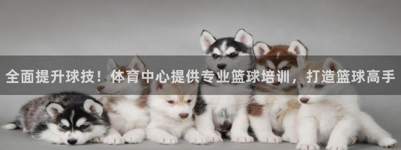 尊龙凯时人生就是搏包装优势：全面提升球技！体育中心提