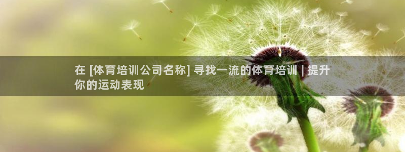 尊龙凯时发展历程：在 [体育培训公司名称] 寻找一流