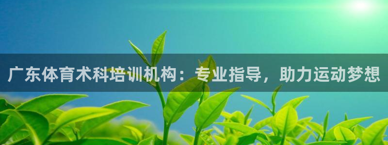 尊龙最新版：广东体育术科培训机构：专业指导，助力运动