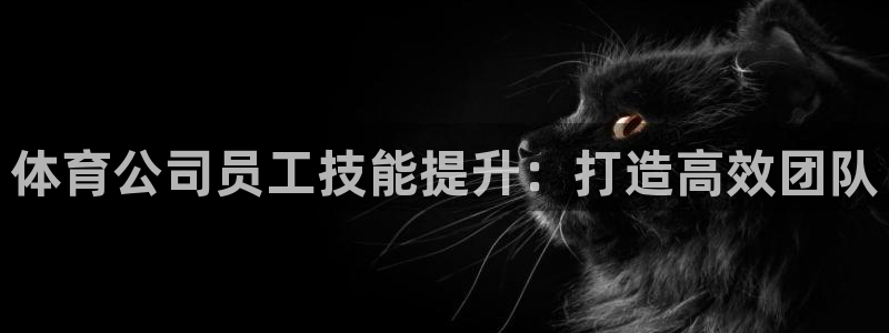 尊龙专访：体育公司员工技能提升：打造高效团队