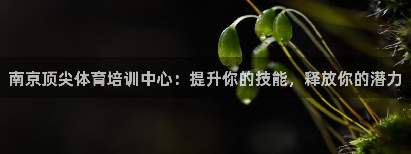 尊龙165：南京顶尖体育培训中心：提升你的技能，释放