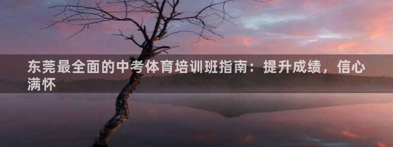 尊龙凯时存款多久到账：东莞最全面的中考体育培训班指南