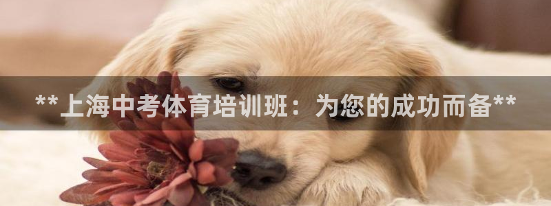 尊龙物流怎么样：**上海中考体育培训班：为您的成功而