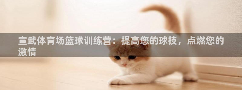 凯时赢来就送38：宣武体育场篮球训练营：提高您的球技