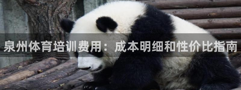 尊龙凯时麻将胡了：泉州体育培训费用：成本明细和性价比
