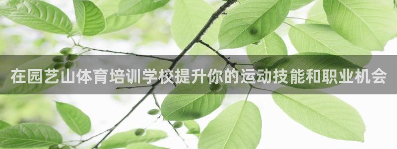 尊龙现在：在园艺山体育培训学校提升你的运动技能和职业