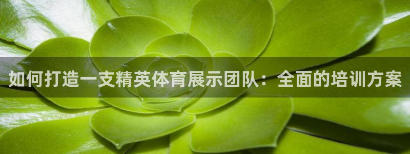 尊龙凯时怎么注销账号：如何打造一支精英体育展示团队：