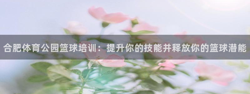 z6尊龙凯时旗舰厅首页：合肥体育公园篮球培训：提升你的技能并