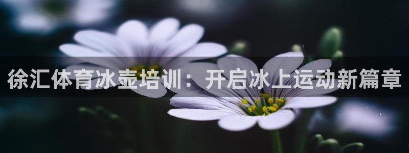 尊龙贴吧：徐汇体育冰壶培训：开启冰上运动新篇章