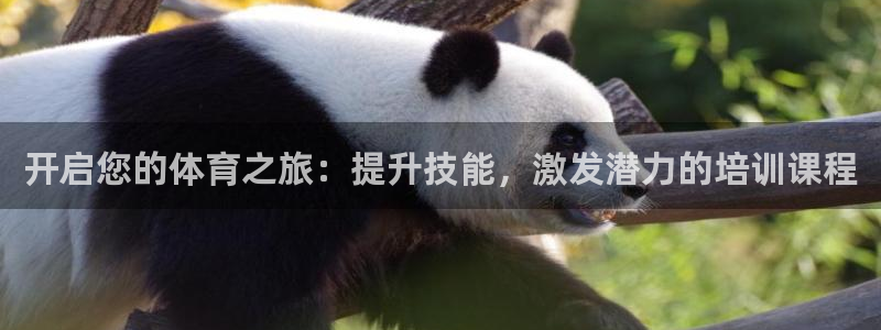 尊龙人生就是博旧版网址：开启您的体育之旅：提升技能，