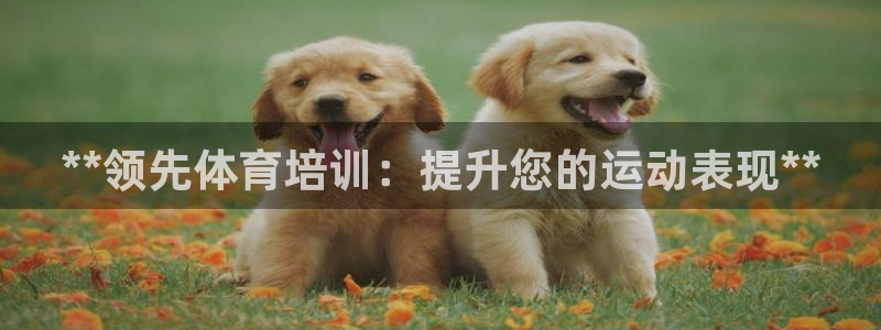 凯时尊龙平台登录：**领先体育培训：提升您的运动表现