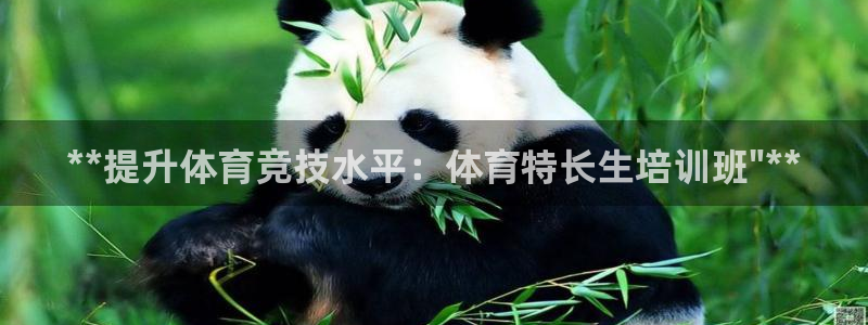 尊龙z6集团：**提升体育竞技水平：体育特长生培训班