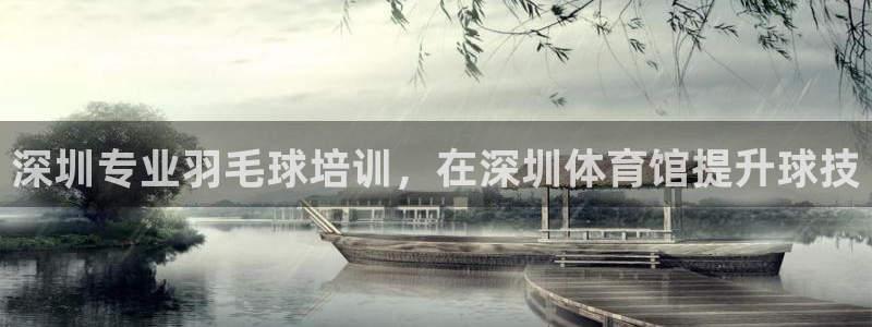 尊龙百度贴吧：深圳专业羽毛球培训，在深圳体育馆提升球