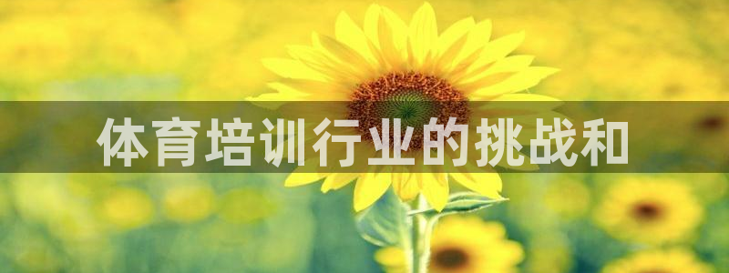 尊龙会ktv价格：体育培训行业的挑战和