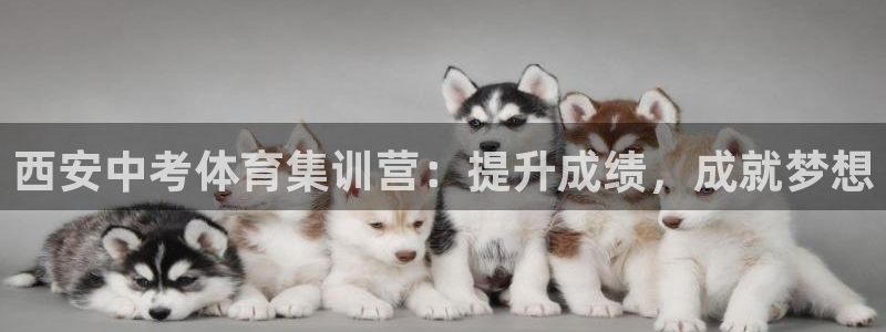 Z6尊龙老版：西安中考体育集训营：提升成绩，成就梦想