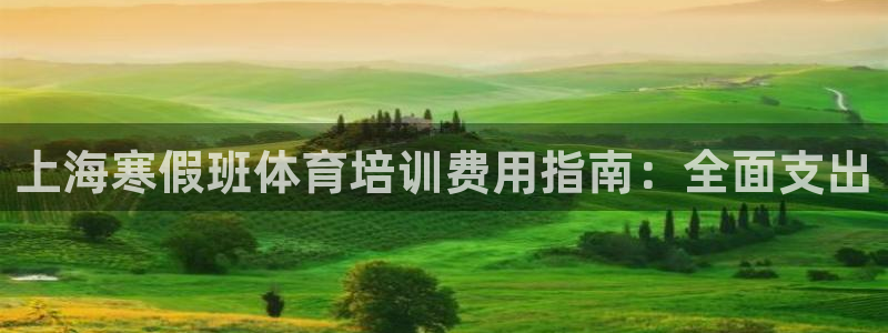 尊龙凯时提款冻卡吗：上海寒假班体育培训费用指南：全面