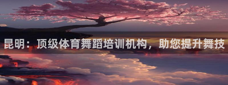 尊龙凯时导航菜单首页：昆明：顶级体育舞蹈培训机构，助