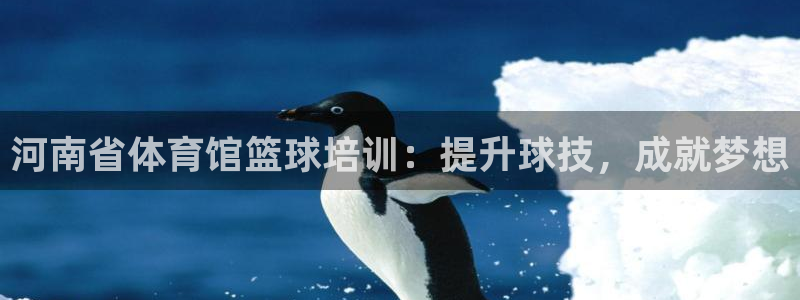 尊龙凯时人生就是搏平台：河南省体育馆篮球培训：提升球