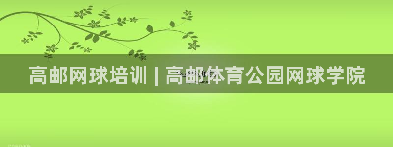 尊龙凯时平台入口：高邮网球培训 | 高邮体育公园网球