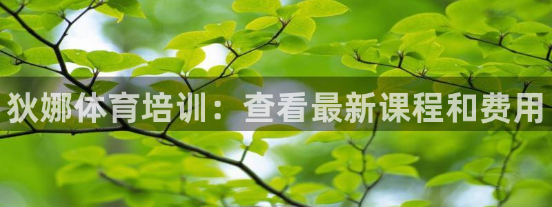 d88尊龙z6：狄娜体育培训：查看最新课程和费用
